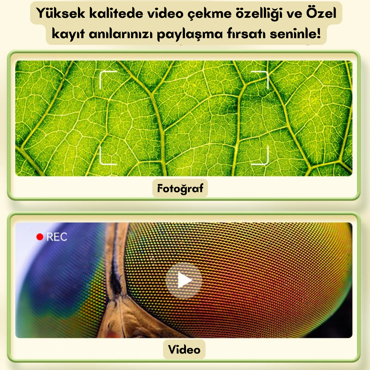 MiniKaşif 1000x